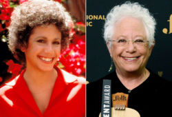 Janis Ian Net Worth