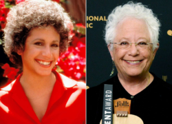 Janis Ian Net Worth
