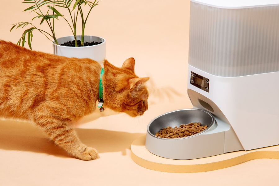 Pet Fresh Cat Food