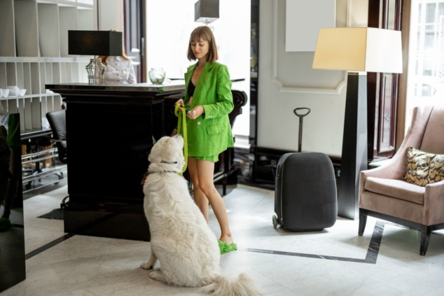 Pet Smart Hotel