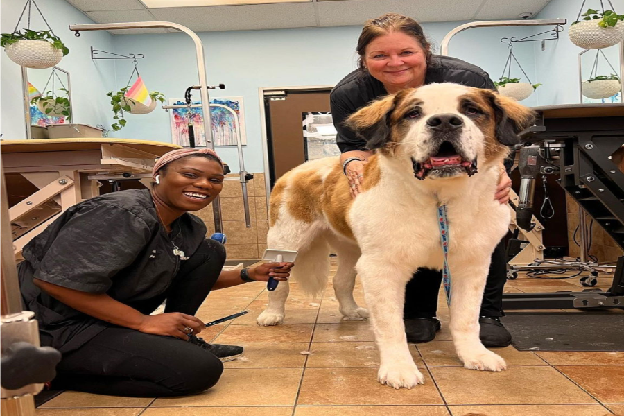 Pet Smart Jobs