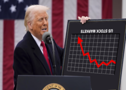 Trump Stock Market