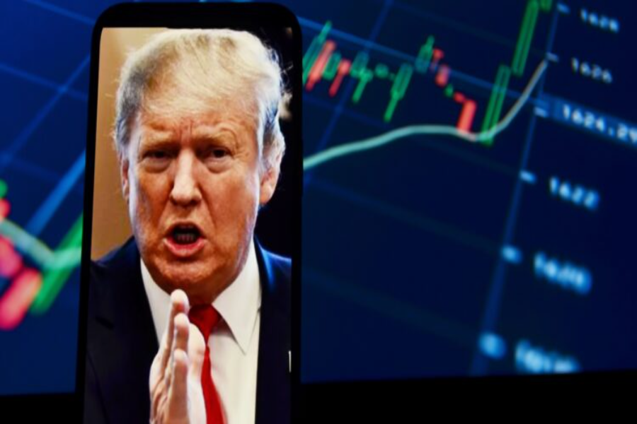 Trump Stock Market